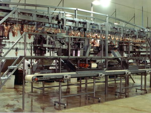 Food Industry Conveyors